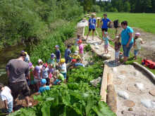 Barfußpark Mitterndorf Fühlstrecke am Bach