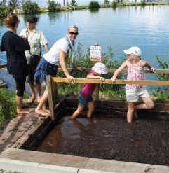 Schlammbecken am Kitzelpfad