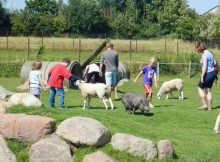 Barfußpark Schwackendorf Streichelzoo