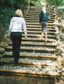 gutach_treppe.jpg (68591 Byte)